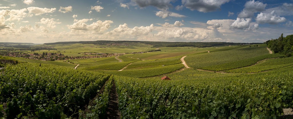 Paysage champagne France