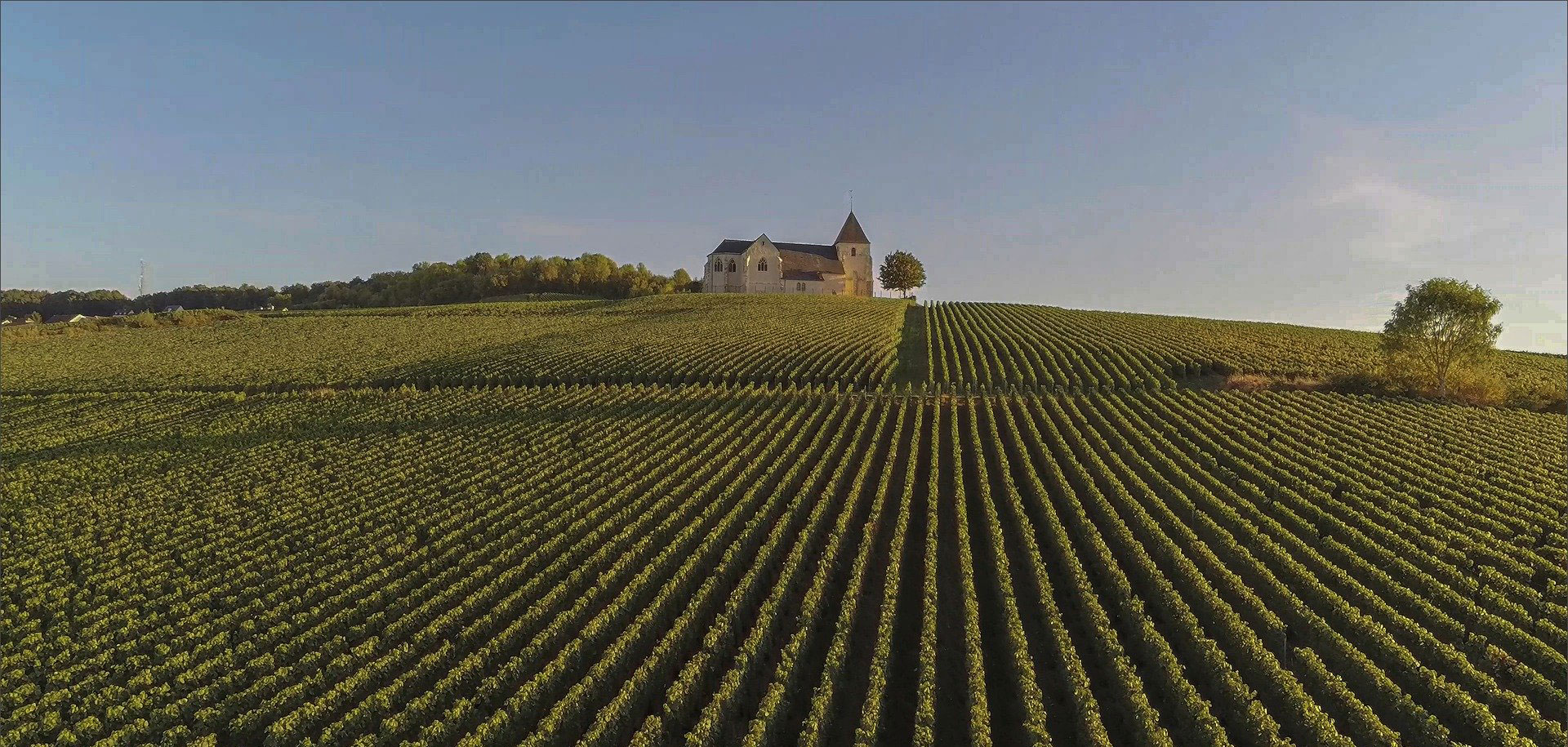 Région champagne