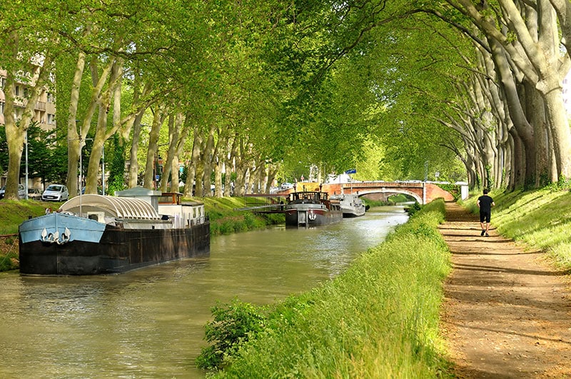 Croisière sur le canal du midi