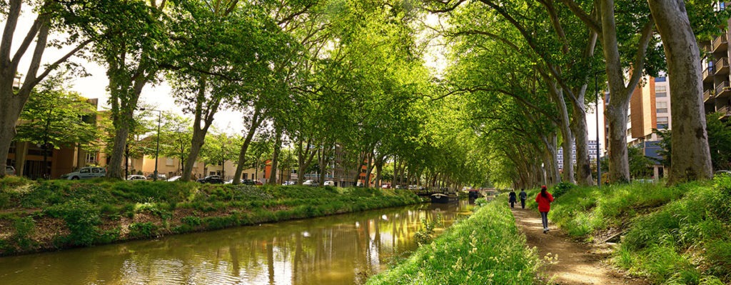 Canal du midi