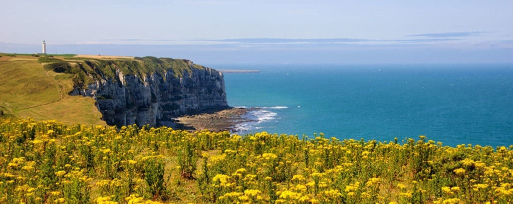 Cote Normande