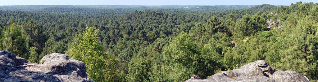 Forêt de Fontainebleau