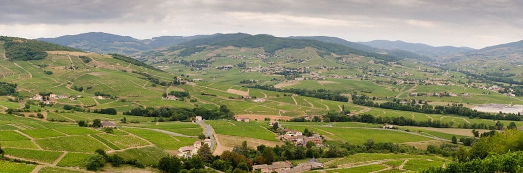 Paysage beaujolais