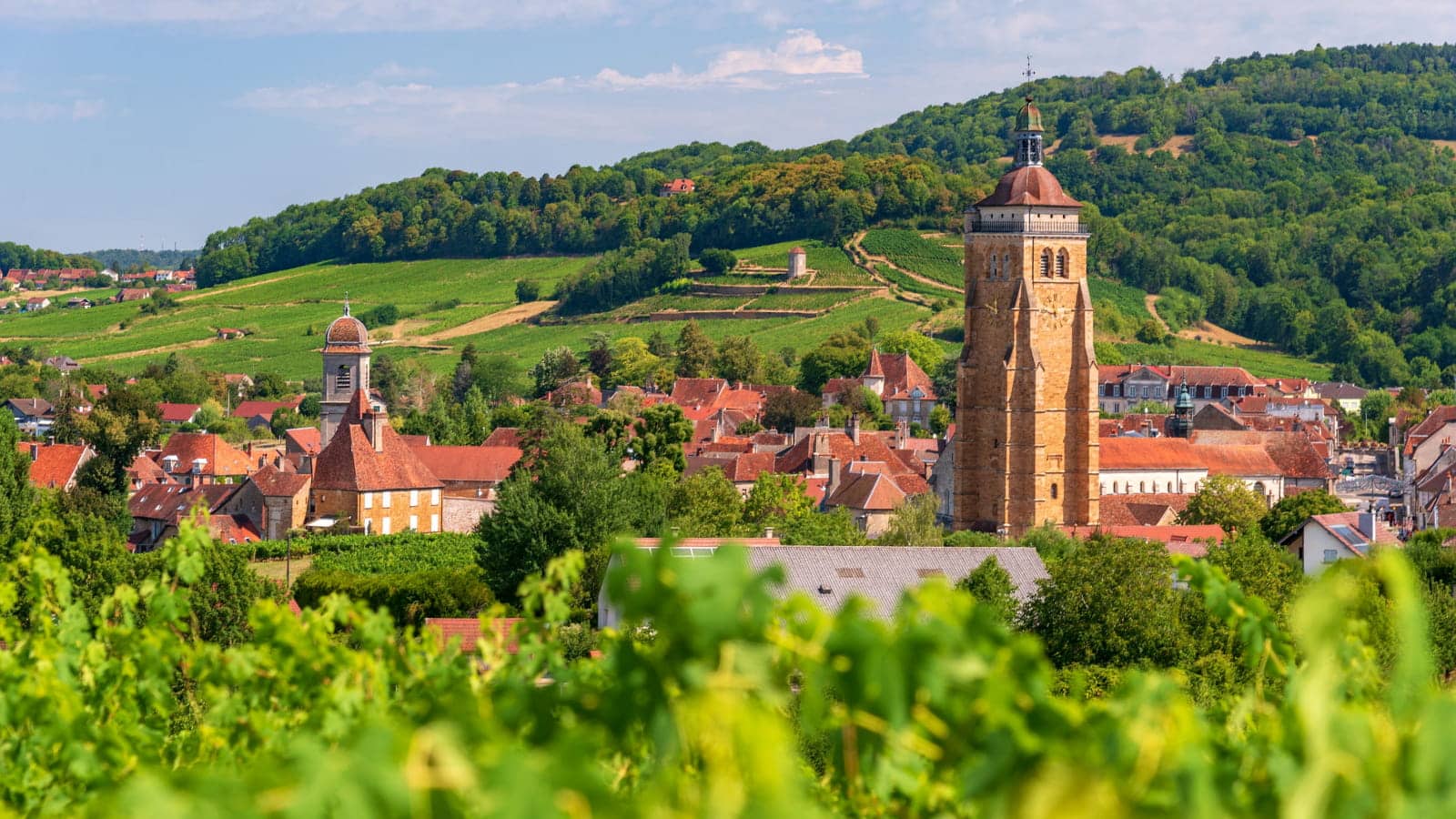 Beaune - Dijon - Autun - Cluny